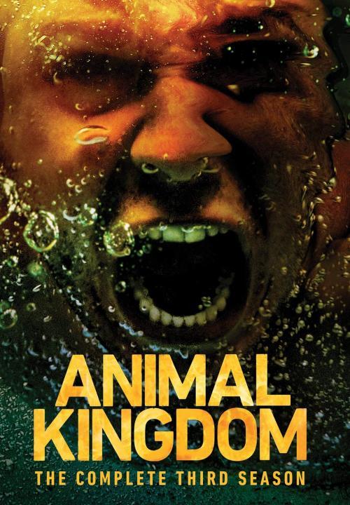 مسلسل Animal Kingdom الموسم الثالث الحلقة 13 والاخيرة