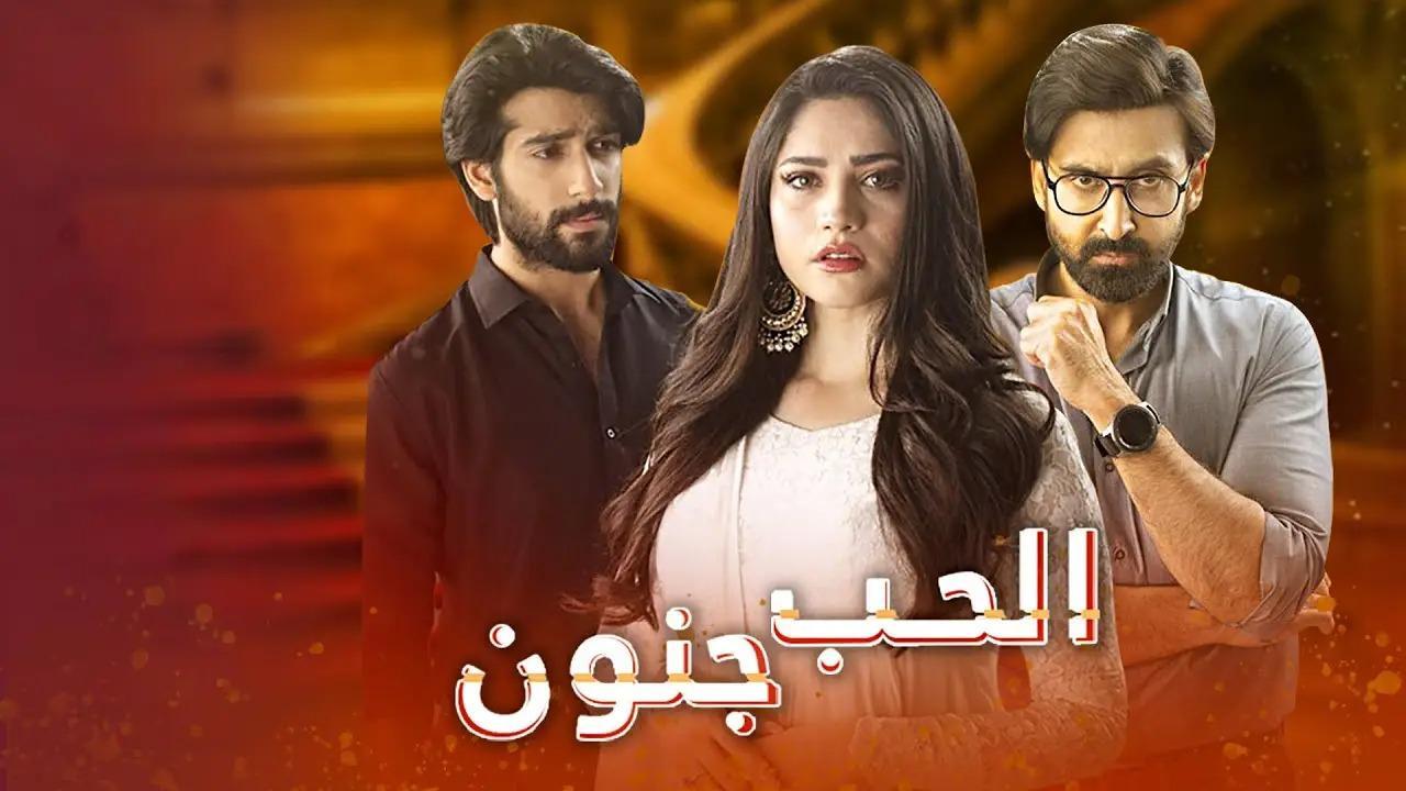 مسلسل الحب جنون الحلقة 24 الرابعة والعشرون مدبلج