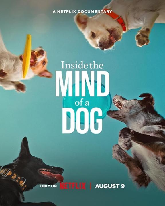 فيلم Inside the Mind of a Dog 2024 مترجم اون لاين